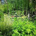 Friends And Familly Guest - Gare - Jardin - Combles Et Vous Apartment *