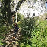 Friends And Familly Guest - Gare - Jardin - Combles Et Vous Colmar