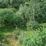 Apartment Friends And Familly Guest - Gare - Jardin - Combles Et Vous Colmar