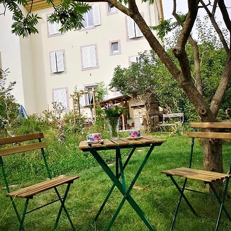 Appartement Friends And Familly Guest - Gare - Jardin - Combles Et Vous Colmar