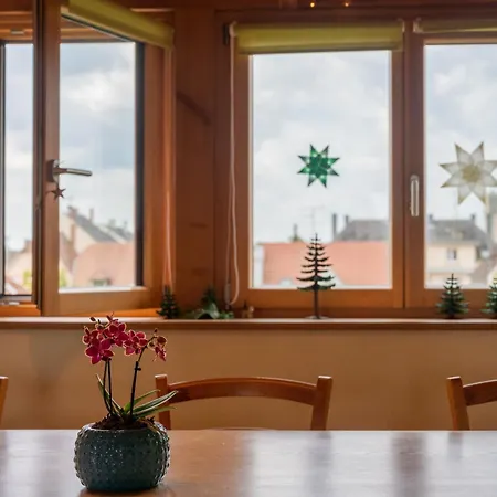 Appartement Combles Et Vous, Duplex T6 Colmar, Famille, Inclusive, Jardin&parking Vélos Colmar