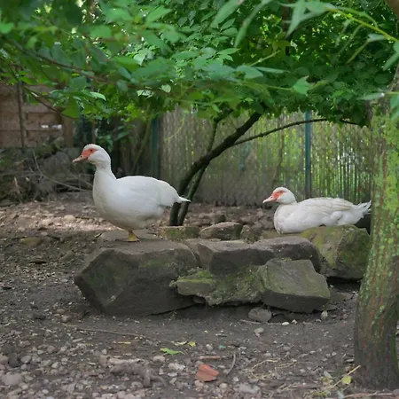 Appartement Combles Et Vous, Duplex T6 Colmar, Famille, Inclusive, Jardin&parking Vélos *