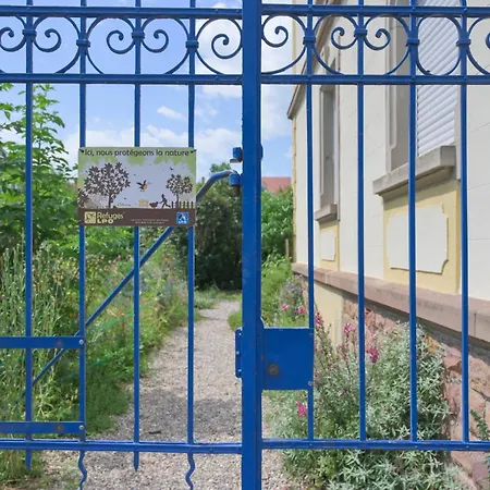 Appartement Combles Et Vous, Duplex T6 Colmar, Famille, Inclusive, Jardin&parking Vélos Colmar