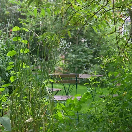 Friends And Familly Guest - Gare - Jardin - Combles Et Vous