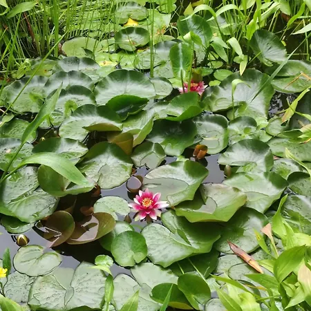 Combles Et Vous, Duplex T6 Colmar, Famille, Inclusive, Jardin&parking Vélos Appartement Colmar