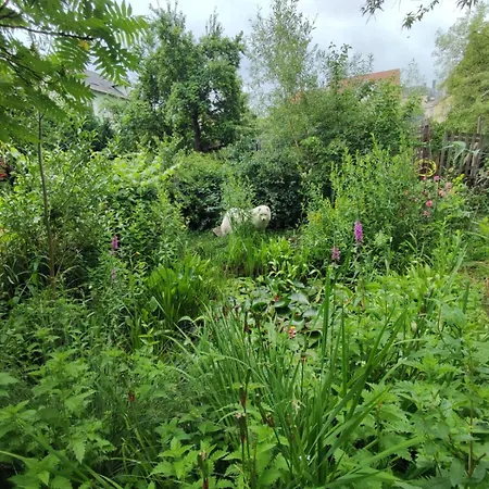 Combles Et Vous, Duplex T6 Colmar, Famille, Inclusive, Jardin&parking Vélos *