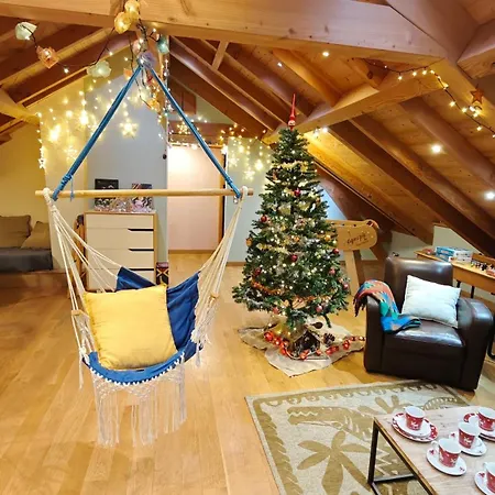 Combles Et Vous, Duplex T6 Colmar, Famille, Inclusive, Jardin&parking Vélos Colmar