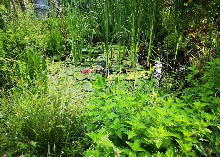 Friends And Familly Guest Apartment *