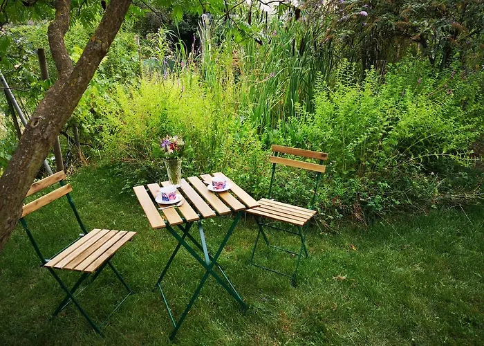 Friends And Familly Guest *