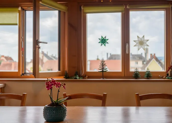 Appartamento Friends And Familly Guest Colmar