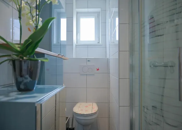 Friends And Familly Guest