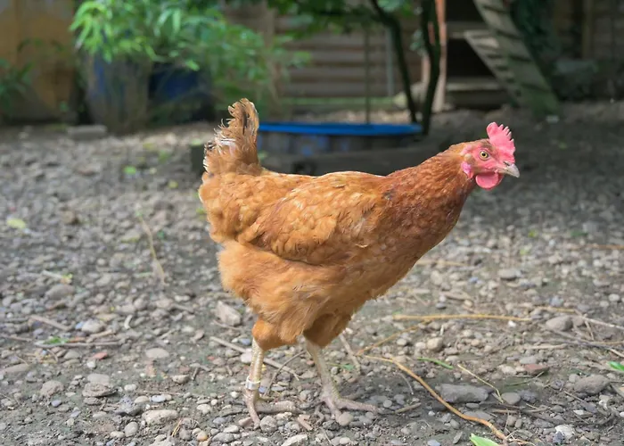 Friends And Familly Guest Apartman *