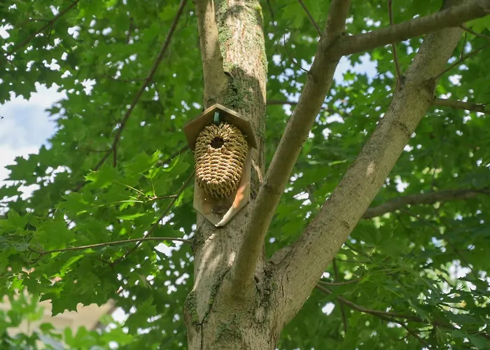 Friends And Familly Guest * Colmar