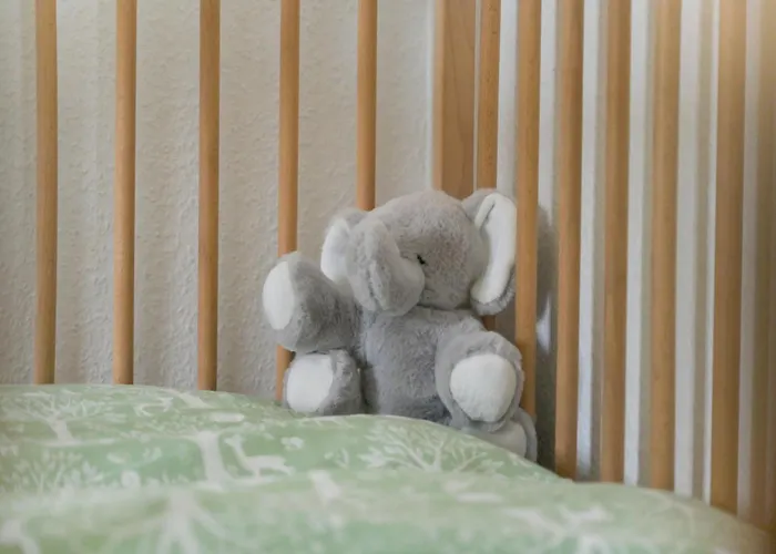 Friends And Familly Guest *