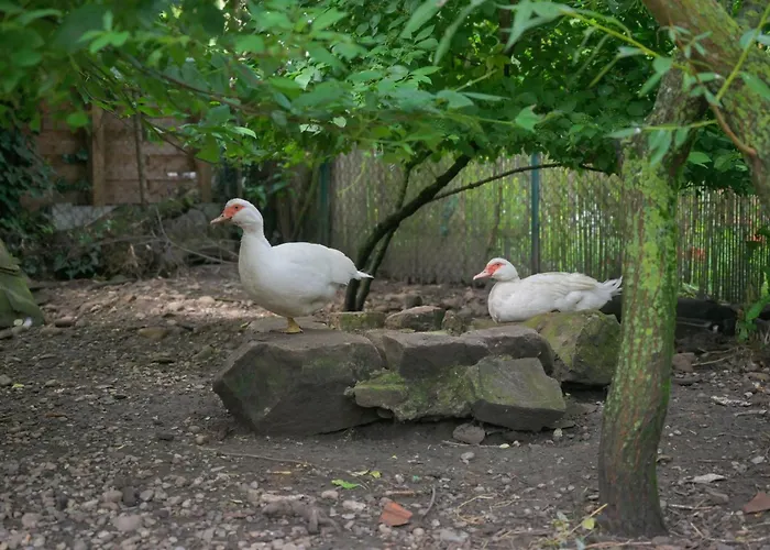 Apartman Friends And Familly Guest *