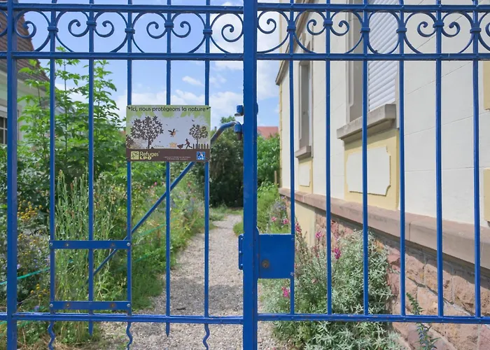 Appartamento Friends And Familly Guest Colmar