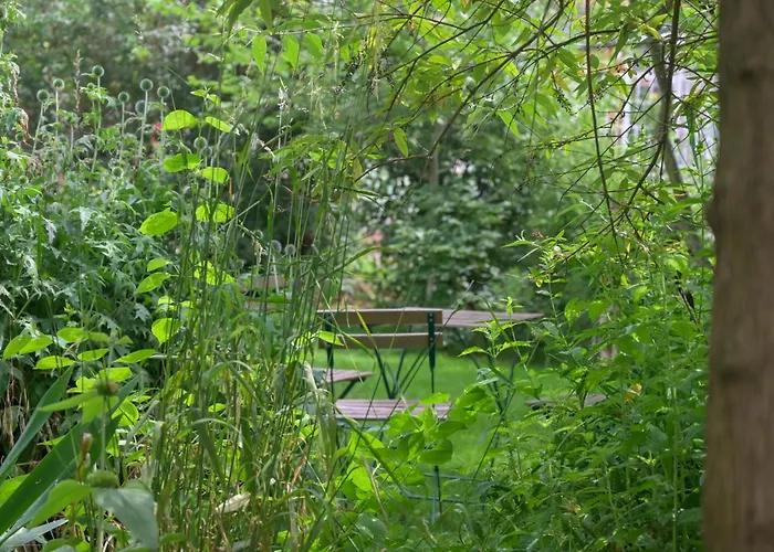 Friends And Familly Guest