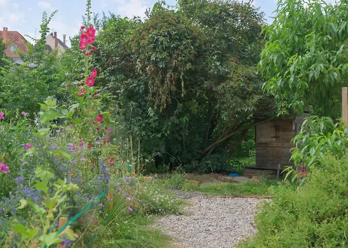 Friends And Familly Guest Appartamento Colmar