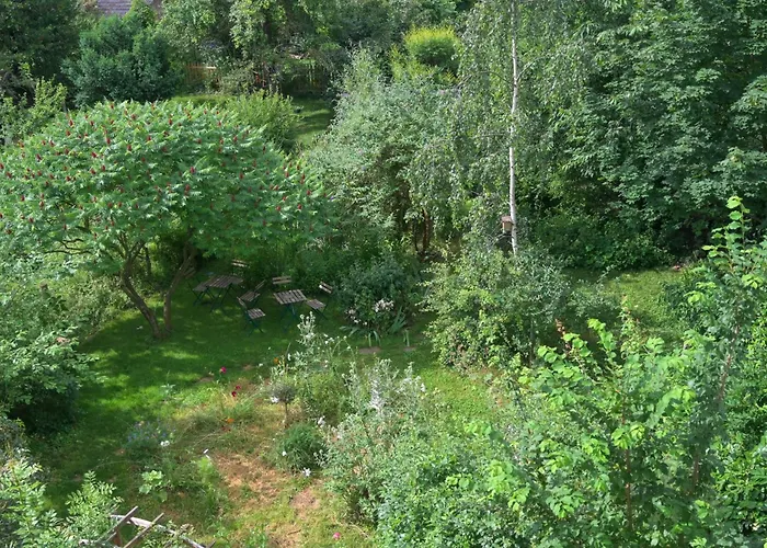 Apartman Friends And Familly Guest Colmar