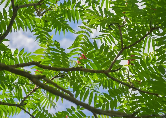 Friends And Familly Guest Apartment Colmar