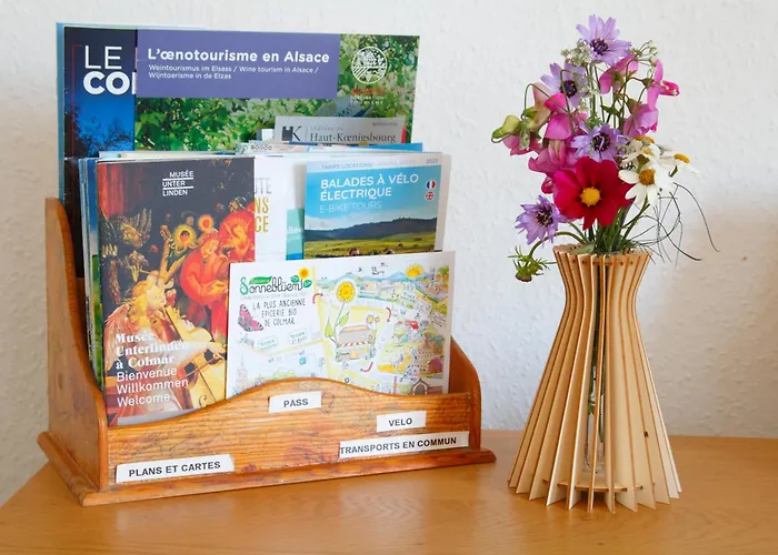 Friends And Familly Guest * Colmar