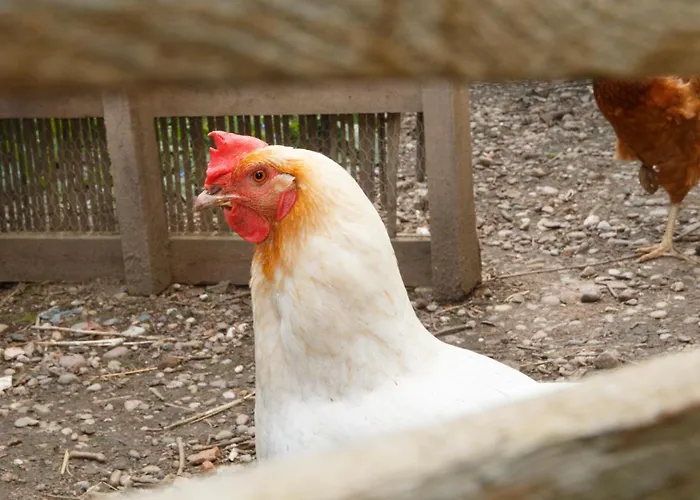 Apartman Friends And Familly Guest