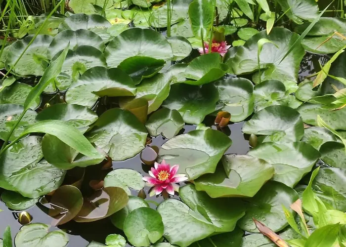 Friends And Familly Guest Appartamento Colmar