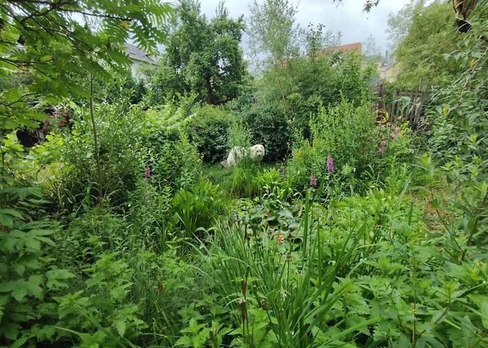 Friends And Familly Guest *